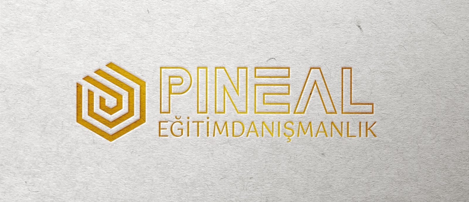 Yurt Dışı Eğitim İçin PINEAL